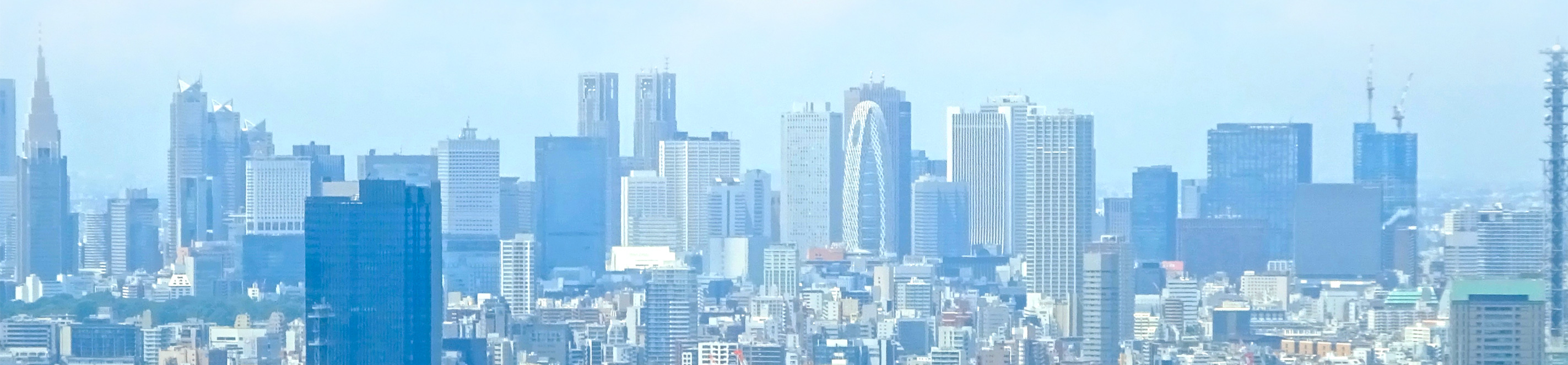 東京都議会議員（新宿区選出）吉住はるお